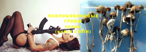стаф Покачи