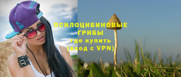 стаф Покачи