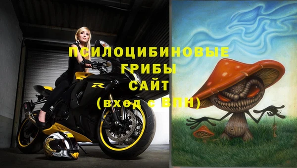 стаф Покачи
