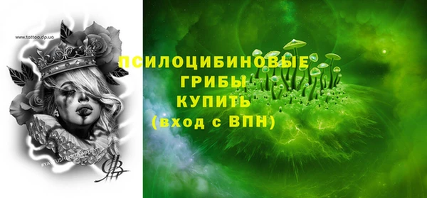 ГАЛЛЮЦИНОГЕННЫЕ ГРИБЫ Покров