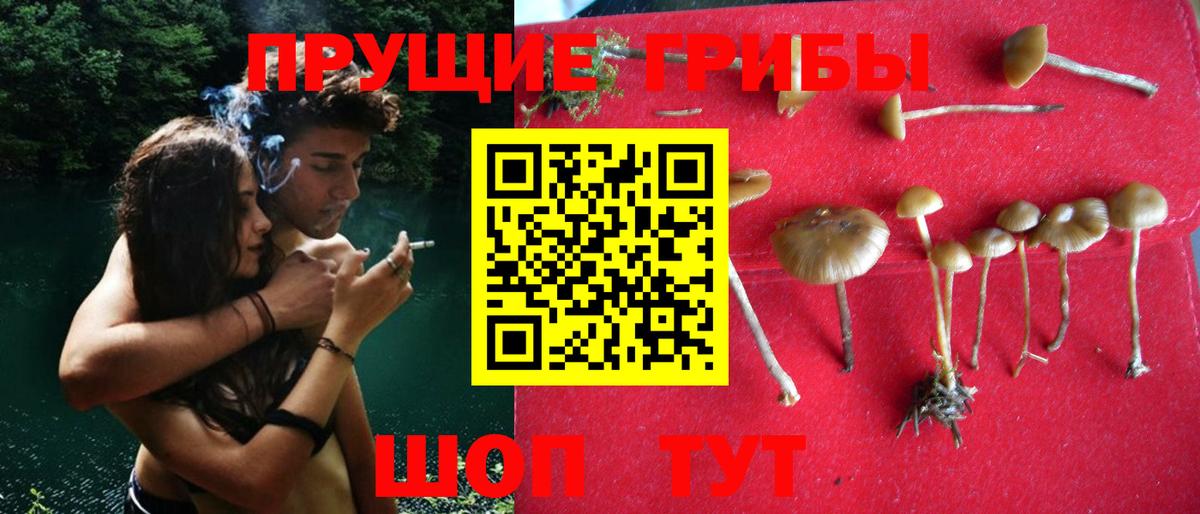 Псилоцибиновые грибы GOLDEN TEACHER  Вход с VPN  Галлюциногенные грибы прущие грибы  Сосновоборск 