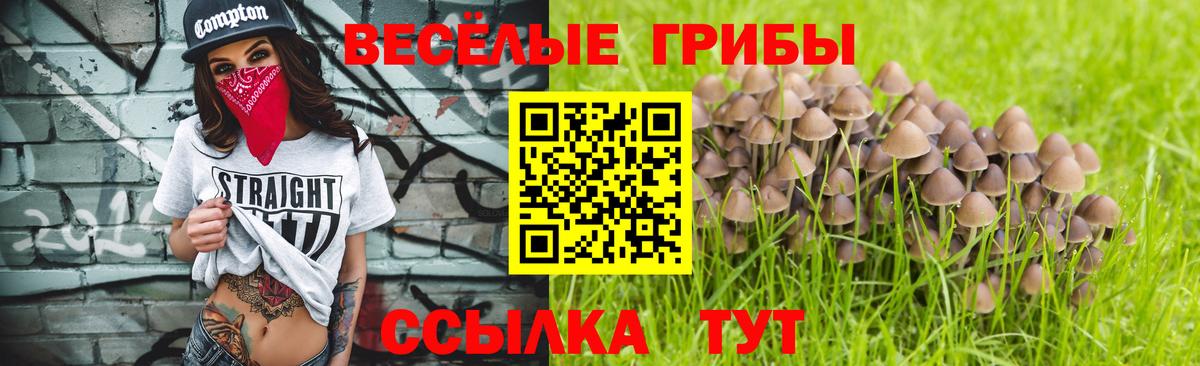 Псилоцибиновые грибы мухоморы  Псилоцибиновые грибы прущие грибы  Сосновоборск 