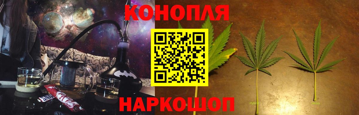 Конопля план  Каннабис индика  Сосновоборск  Вход с VPN  Шишки марихуана конопля 